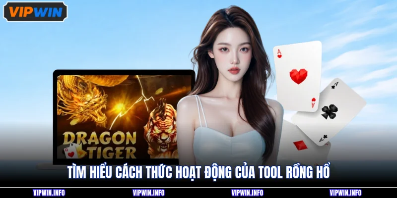 Tìm hiểu cách thức hoạt động của tool Rồng Hổ